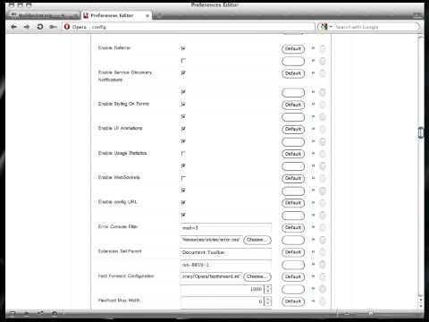 Howto enable websockets in Opera 11
