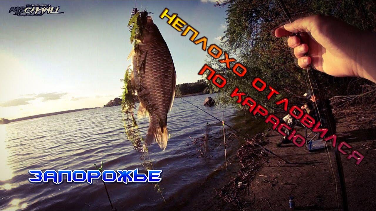 Клев на оке сегодня