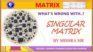 MATRIX | Problems on Singular Matrix  Questions with Answers | Singular Matrix