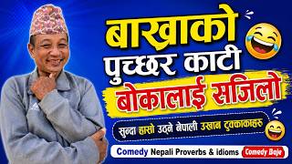 बाख्राको पुच्छरकाटी बोकालाई सजिलो | सुन्दा हासो उठ्ने नेपाली उखान टुक्काहरु | Comedy Proverbs idioms screenshot 1