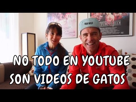 NO SOLO HACEMOS VIDEOS DE GATOS MONOS