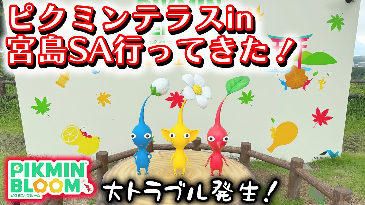 【ピクミンブルーム】ピクミンテラスin宮島SA行ってきた！【Pikmin Bloom】