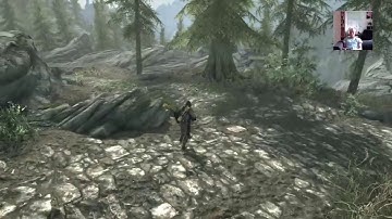 Specter Playing Skyrim NO HUD on expert