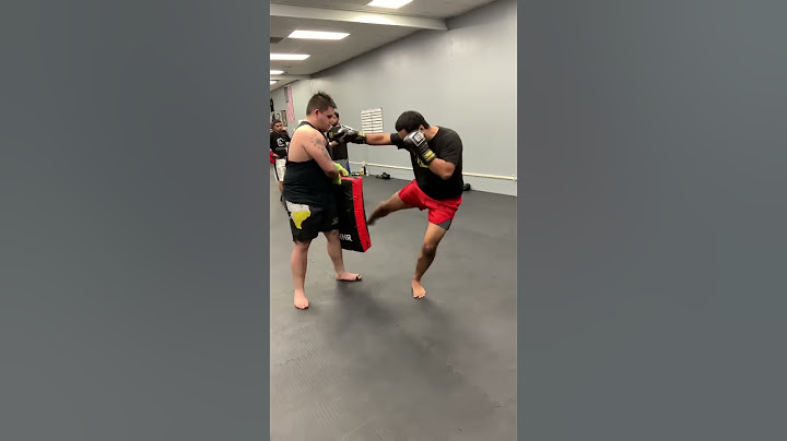 Basic Low Kick