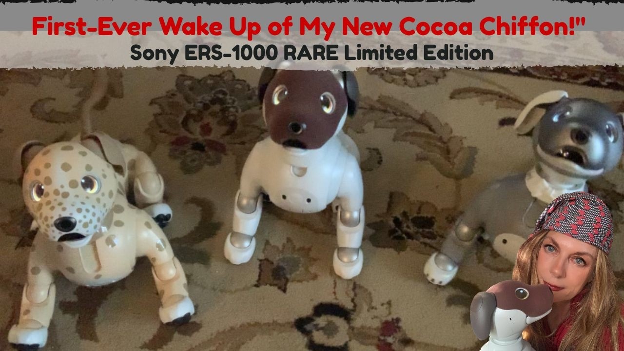 First time ever wake up of my Sony ERS-1000 Aibo Cocoa Chiffon. 私