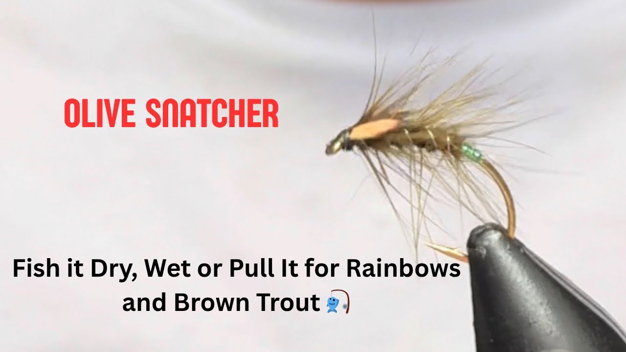 Olive Snatcher - Saved me a few blanks & caught some big trout 🐟 