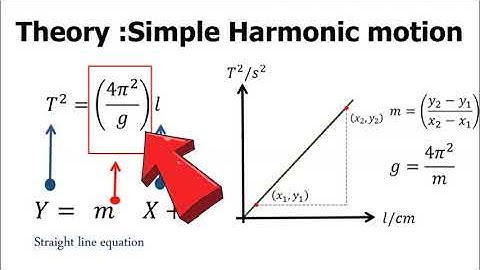 SDS Experiment 5 l Simple Harmonic Motion