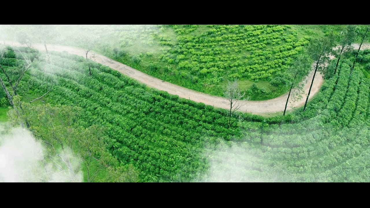 God's Own Country | Drone shots from Kuttikanam, Idukki