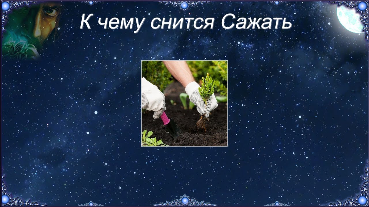 К чему снится Сажать (Сонник)