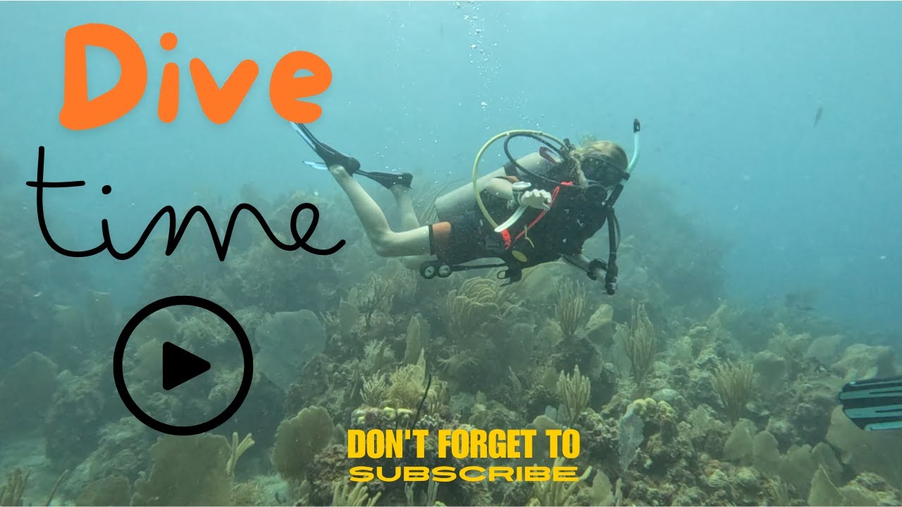 Unlocking the Secrets of the Deep with PADI (Open Water Course)