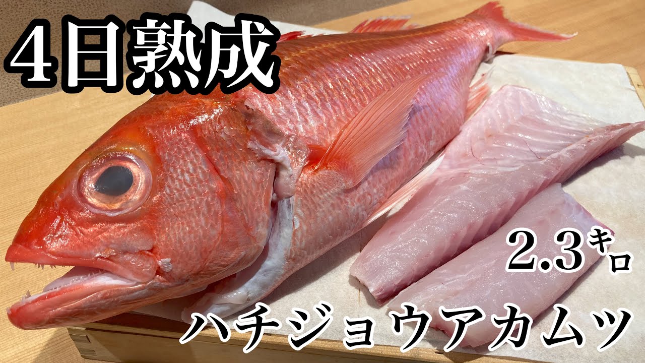 2 3 4日熟成ハチジョウアカムツ食べ比べ 寿司 津本式 釣り Youtube