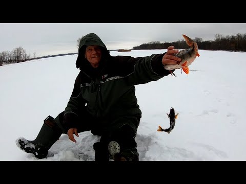 Окуневая рыбалка. Александровский затон.