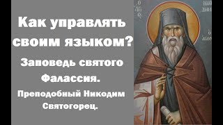 Многословие открывает двери души, через которые уходит благодать. Преподобный Никодим Святогорец.