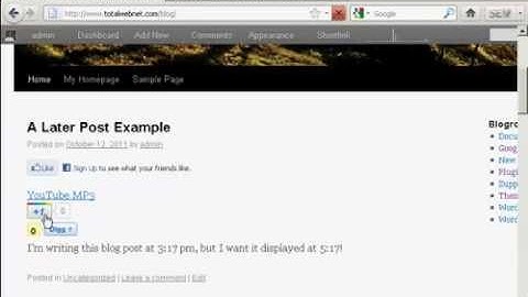 WordPress Tutorial - How to Add a Google Plus Button In Your Post in WordPress