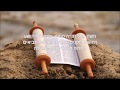 משה קיבל תורה מסיני אורות ישראל mp3