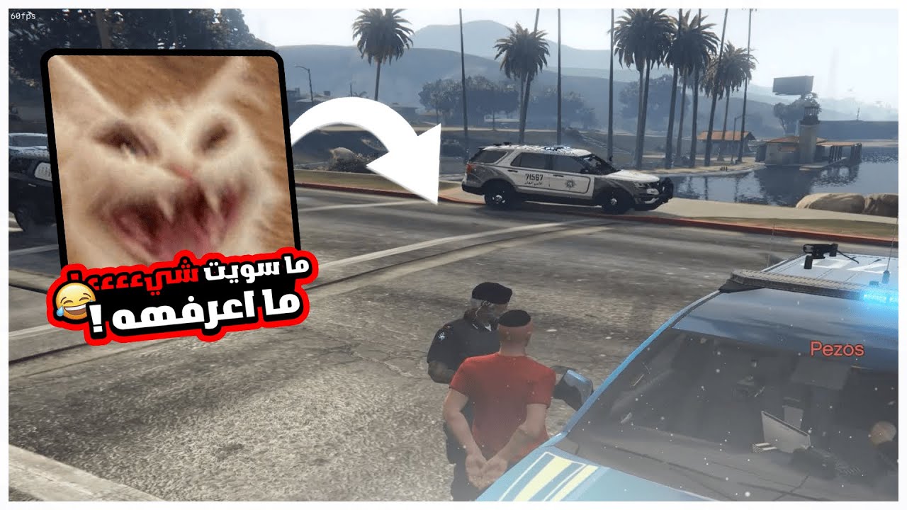 الرحلة الى اللواء اركان #12 | مقاطعة بلاين ⭐⭐⭐