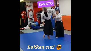 Sankyo #martialarts #budo #aikido #selfdefense #selfdefensetraining #aikidolife