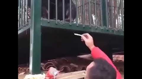 Classic smoking scene to comment on whose action is good