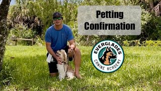Petting Confirmation or Consent Test | Cocker Spaniel | God Training | Naples FL