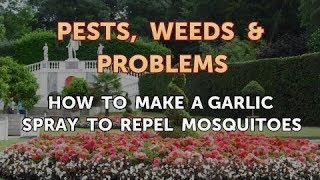 All necessary for pest control
https://amzn.to/2rlu5cg---------------garlic provides an effective way
to keep mosquitoes out of your garden. this safe, natur...
