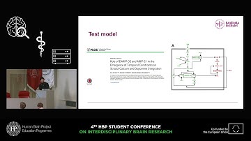 Gomes dos Santos João Pedro - Workflow for subcellular neuronal modeling