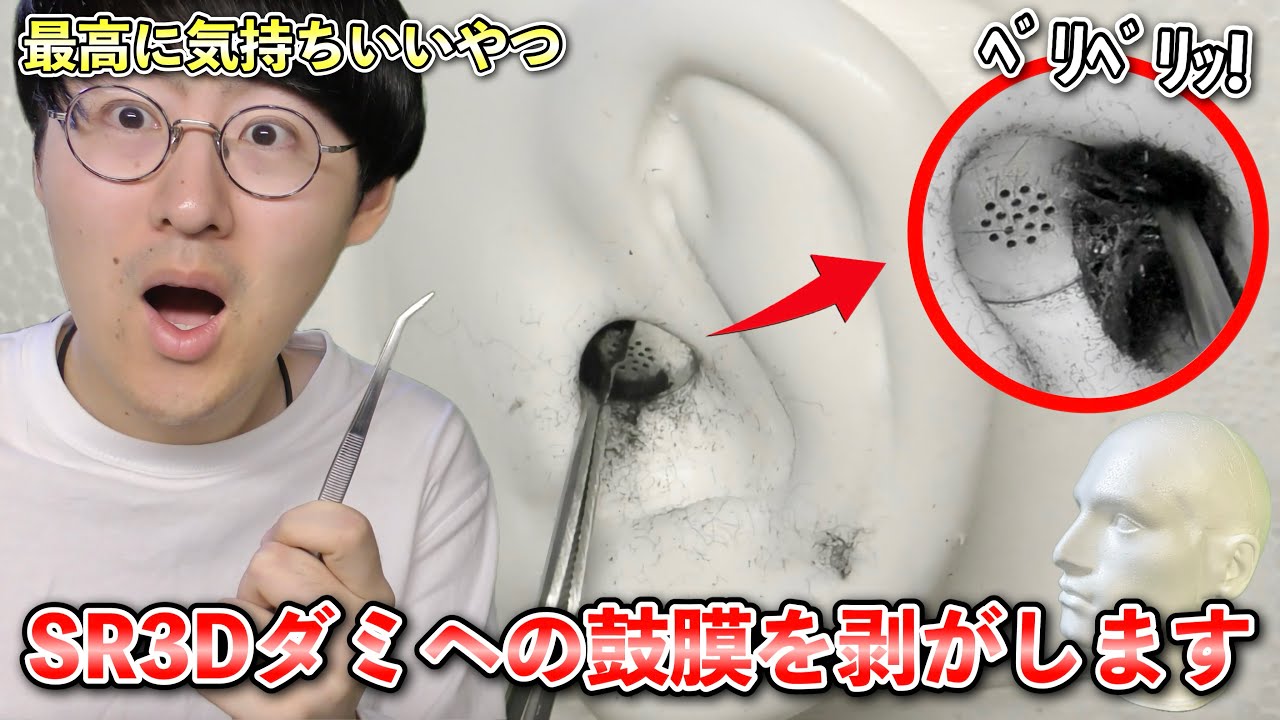 【ASMR】ついに！SR3Dダミヘの鼓膜がめくれそうなのでベリベリ剥がしていきます！