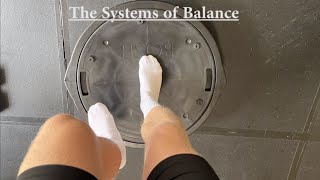 How Balance Works: The Vestibular System, Somatosensory System, & Visual System (Balance Explained)