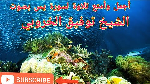 تلاوة تريح القلب وتذهب عنه الضيق سورة يس بصوت الشيخ توفيق الخروبي.
