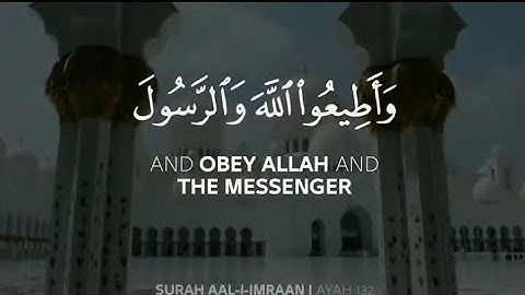 ((وأطيعوا الله والرسول لعلكم ترحمون))حالات واتس آب قرآن كريم