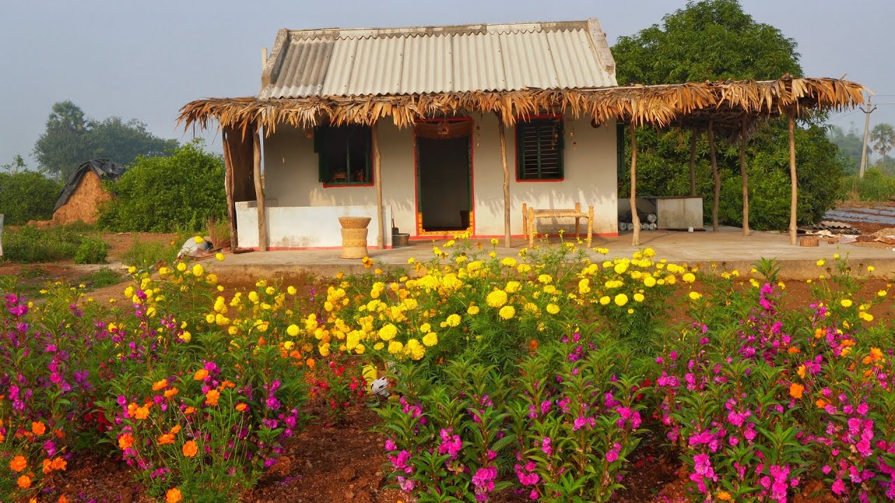 White cowpeas curry with poori and working on farm land with my family 