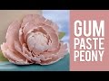 How to Make Gum Paste Peony Flowers
