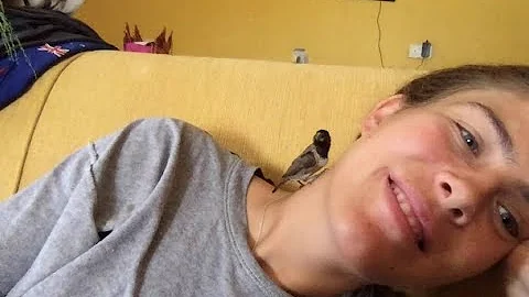 FLEDGLING, my nature memoir tells the story of me and one tiny wild bird who changed my life.