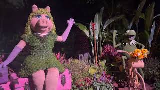 Kermit And Miss Piggy