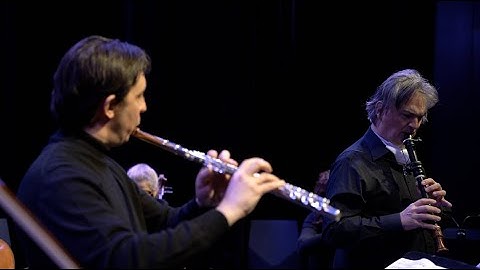 Telemann - Concerto for recorder and flute in e minor - Lowell Chamber Orchestra