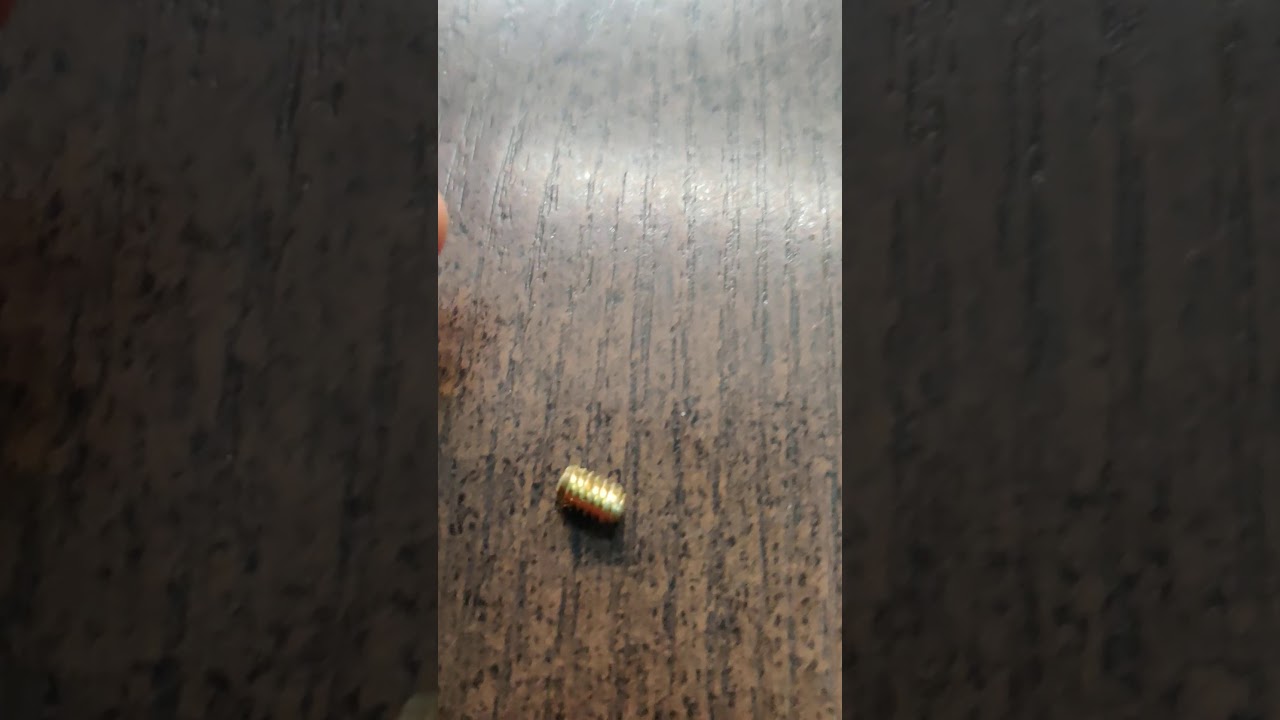 Brass grub screw