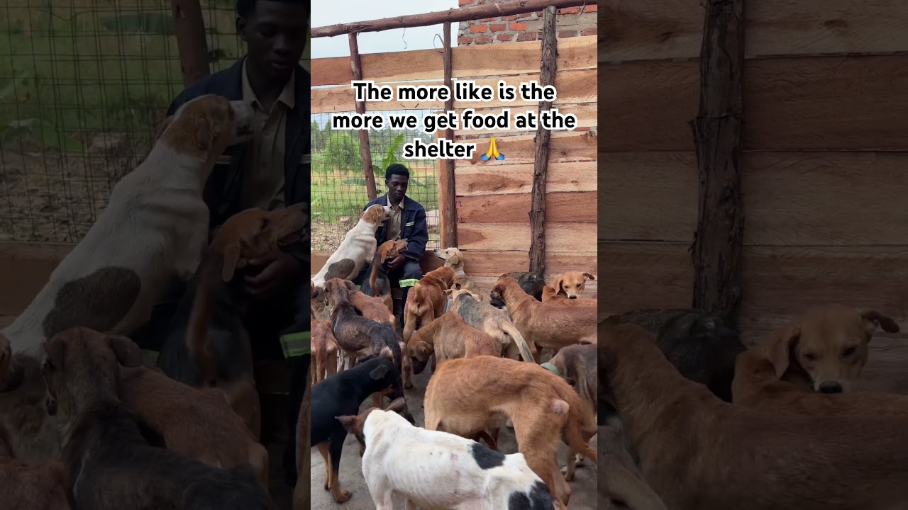 Дорогой друг, вы можете отправить нам сообщение через ссылку WhatsApp, чтобы получать обновления.