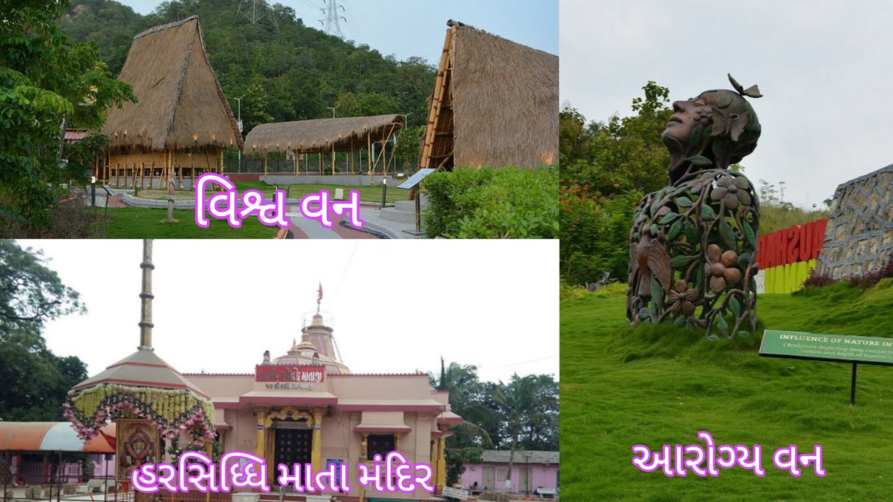 Vishwa van🌍 || Aarogya Van🌴 || Harsidhdhimata Mandir🙏 || food explore 🥝|| #travelvideo