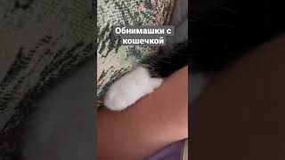 Будни юриста #юрист #кошечки #кот #животные #юристсочи #жизньвкайф