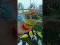 ⚠️普通に見えて結果が違う