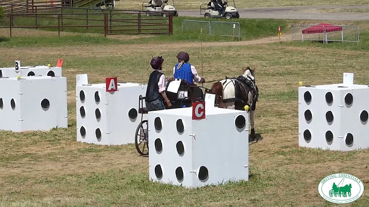 Northern California Driving Club CDE 2019 - Kathy ...
