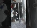 ابناء الشيخ أحمد ود سليمان ))القاهرة الاهرامات(2)
