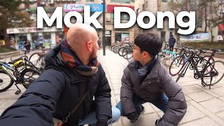 The Surprising Similarities Between Mok-dong and the Netherlands