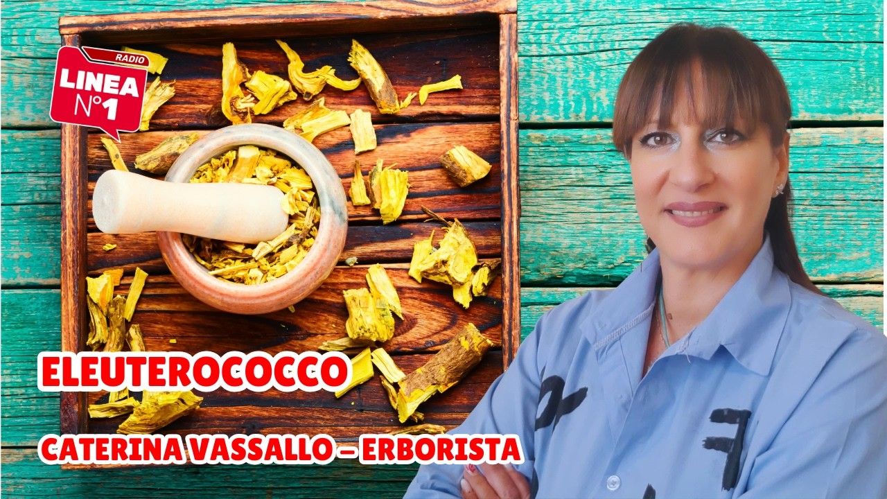 CATERINA VASSALLO sull'ELEUTEROCOCCO