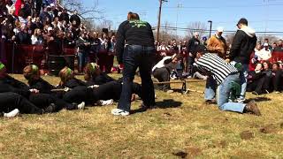 AGD v Gamma Phi 2011 Spring Puddle Pull