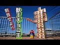 【ジュウオウジャー】ジュウオウジャーチョコで合体まで再現⁈ ジュウオウチョコキング登場‼︎ 当てるぜ！ミニプラ ★食玩 candytoy zyuohger chocolate