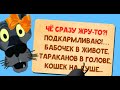 ✔️Ну почему нельзя быть донором жира?  Пришла, сдала, и ушла домой счастливая. Анекдоты с Волком.