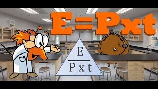 Epxt Met Professor Bolletje