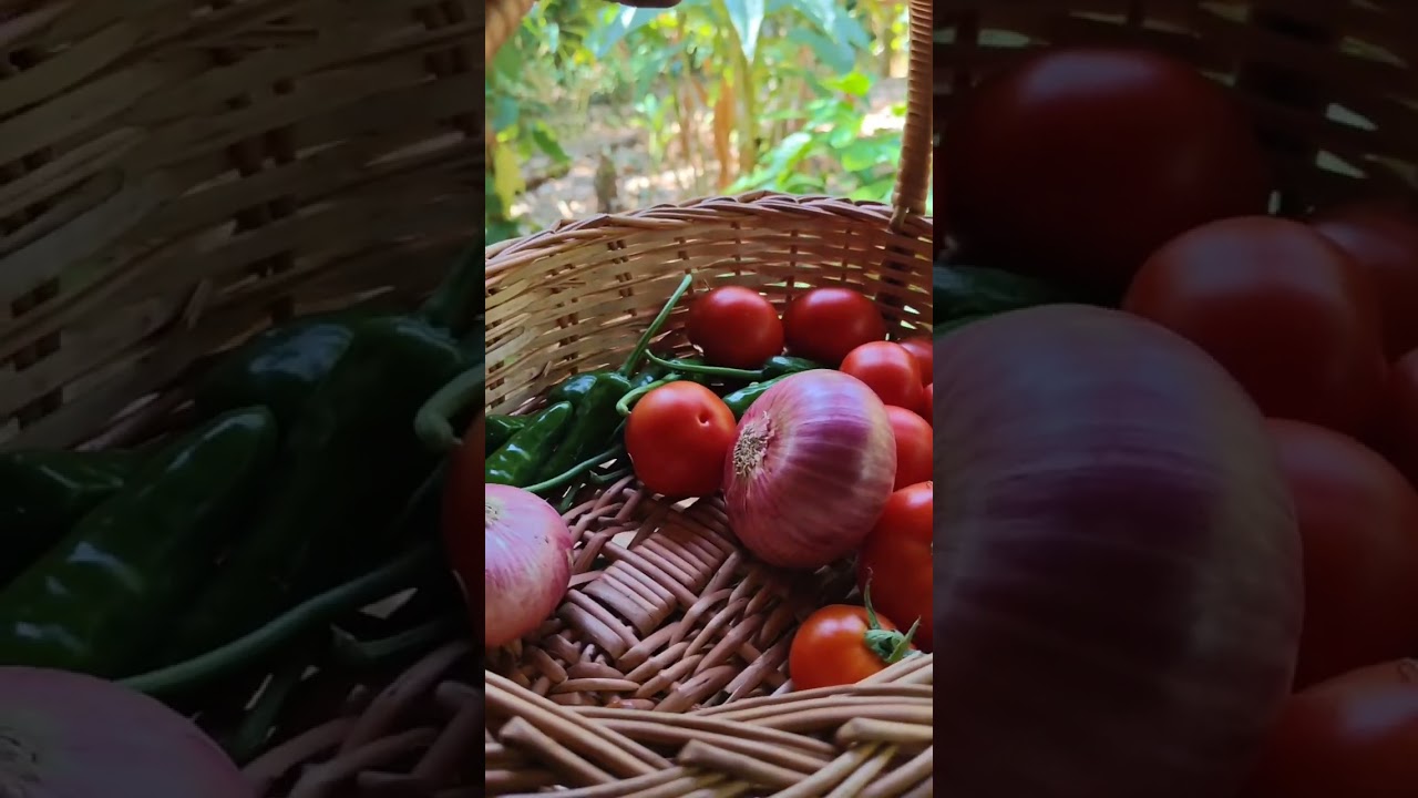 തക്കാളിച്ചമ്മന്തിയും ഇന്നത്തെ ദിവസവും🤗🤗