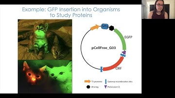 Lab 6-3: Make-up PowerPoint Lecture Video