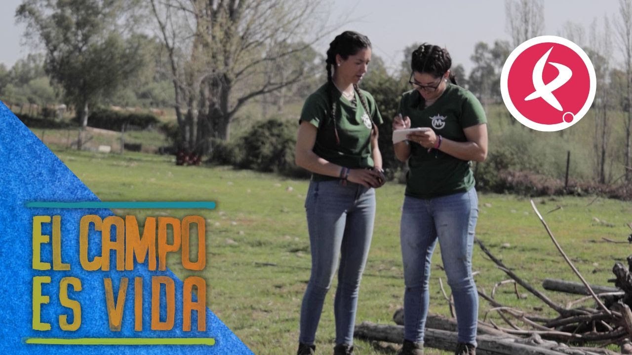 Isabel y Lidia inician la construcción de un picadero para sus yeguas | El campo es vida